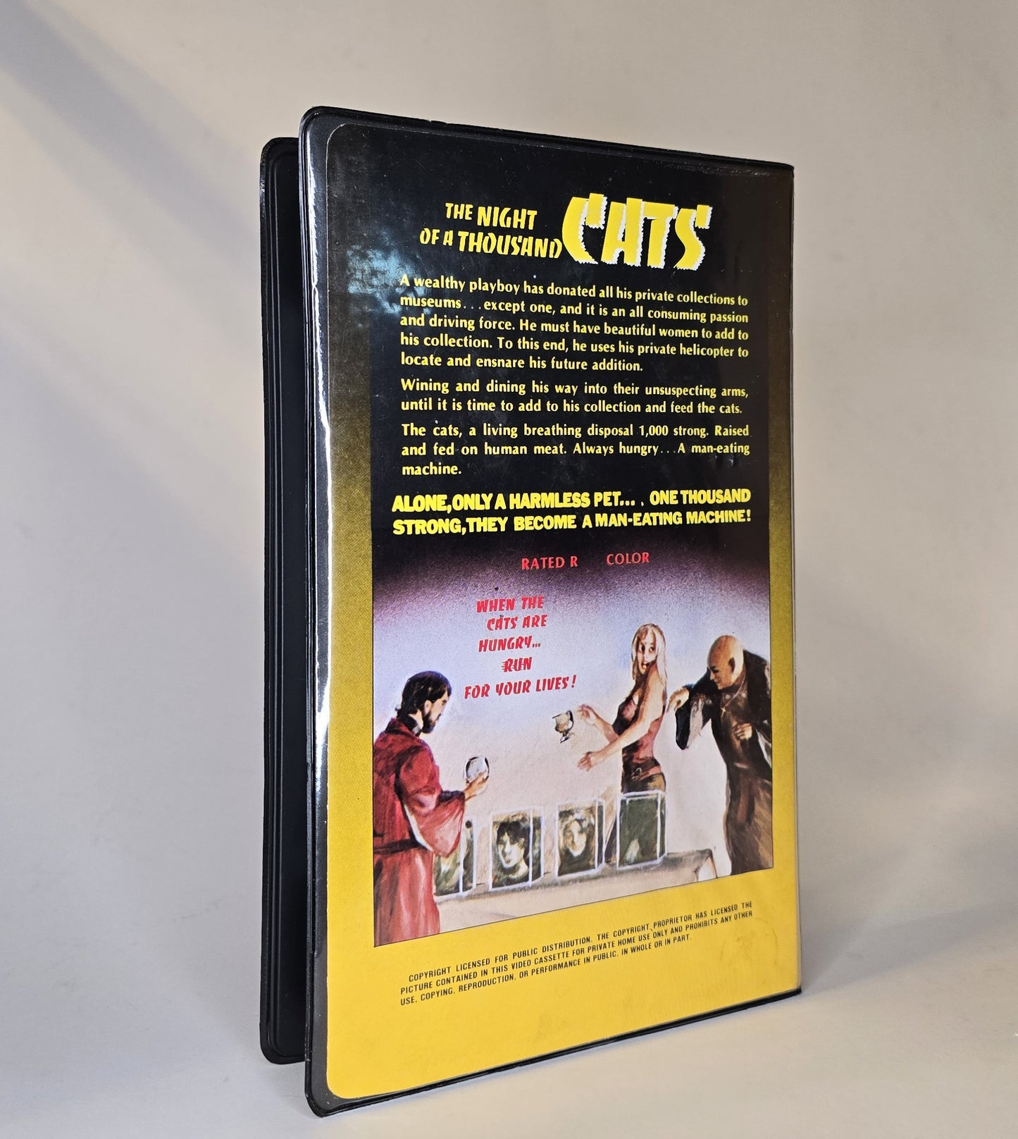 Night of a Thousand Cats | Betamax