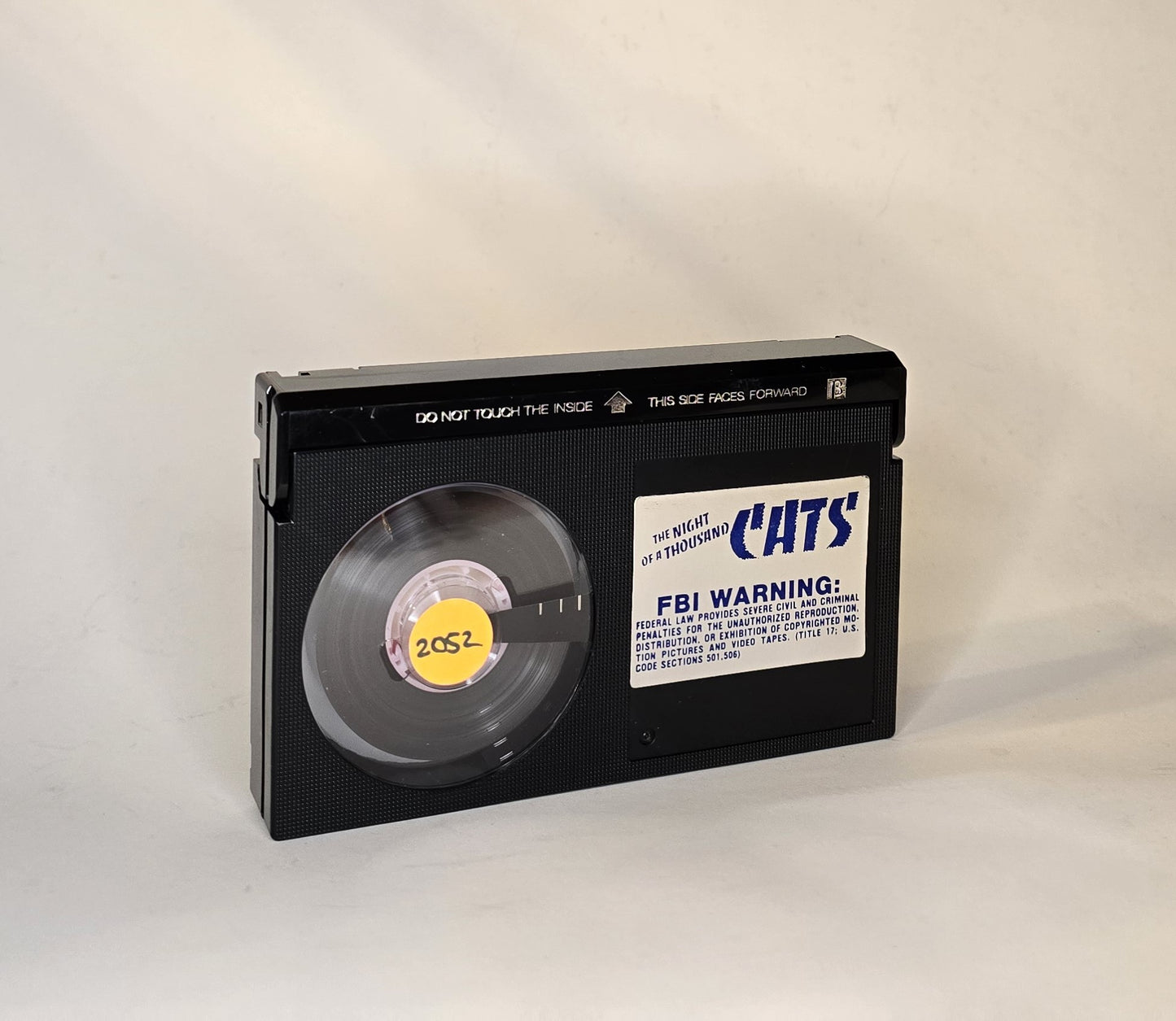 Night of a Thousand Cats | Betamax