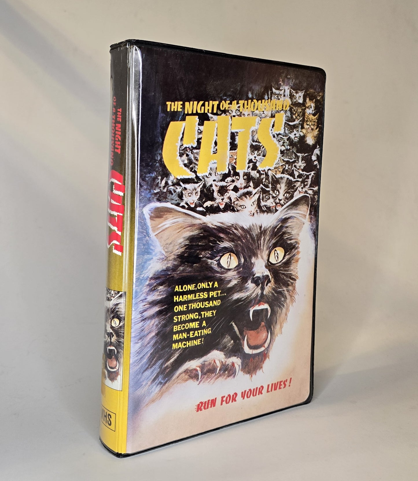 Night of a Thousand Cats | Betamax