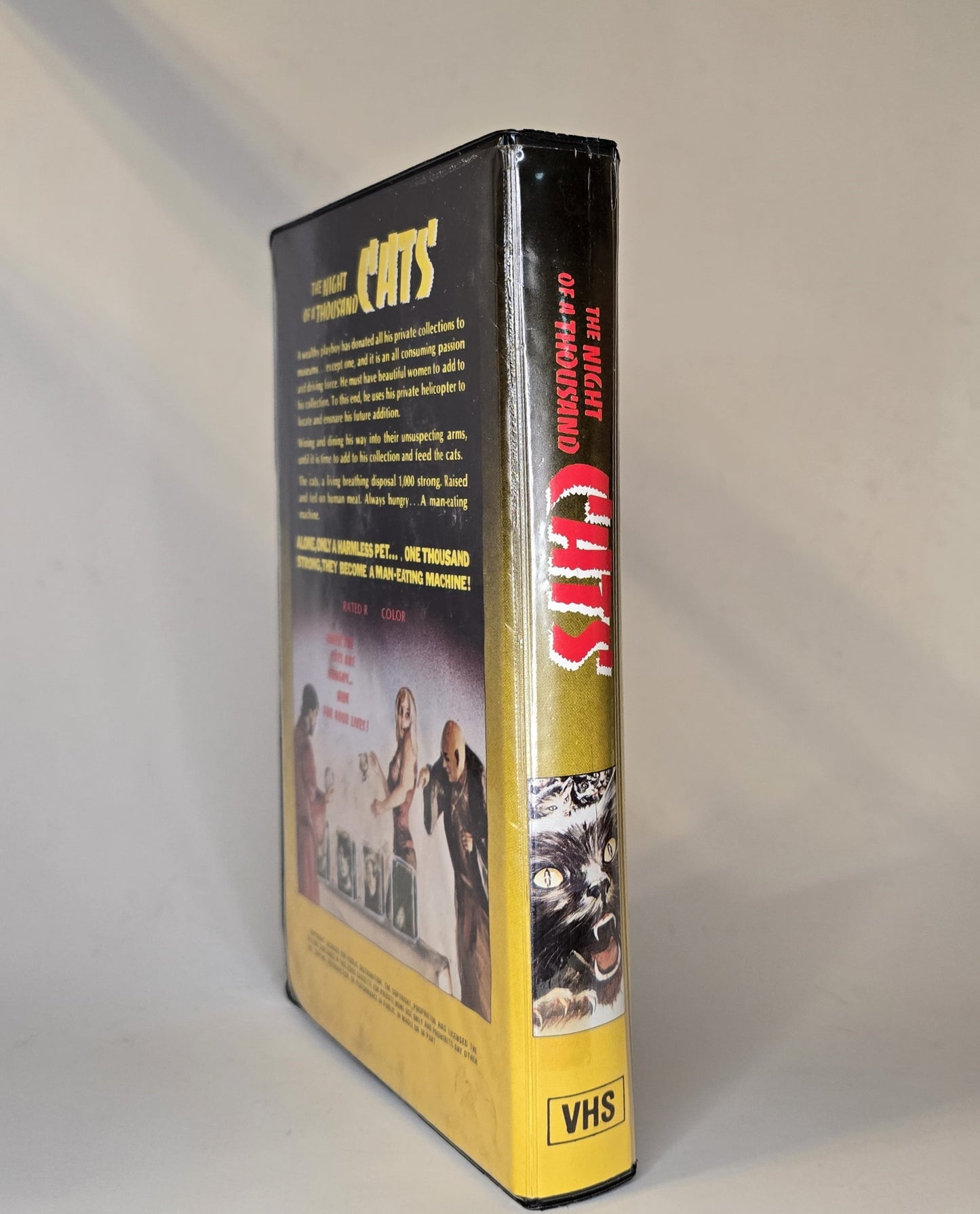 Night of a Thousand Cats | Betamax
