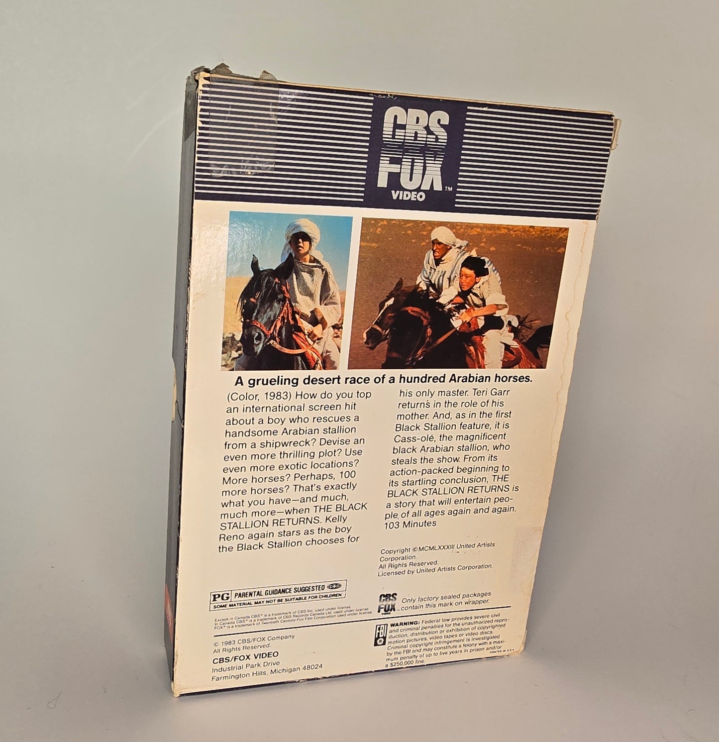 The Black Stallion Returns Back Cover