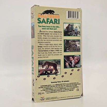 Hollywood Safari